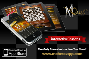 MetroChess Interactive Lessons